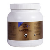 Derm Caps Extra Strength For Medium & Large Breeds 500ct Btl