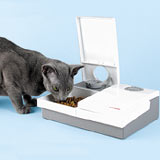 C-20 Automatic Cat Mate Feeder