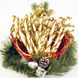 8" Medium Cane Rawhide