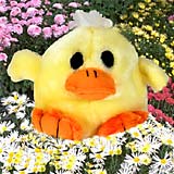 Booda Squatters Baby Chicken Dog Toy