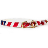 American Grand Dog & Cat Buckle Collar 1/2" x 14"