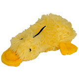 DUCKWORTH SPLASH