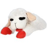 Lambchop