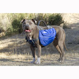 Dog Whisperer Back Pack
