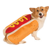CASUAL CANINE HOT DIGGITY DOG COSTUME