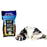 Azmira Lifestyle Lamb Dog Food 8kg 17.6lb