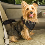 SOLVIT DOG VEHICLE HARNESS