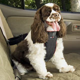 SOLVIT DOG VEHICLE HARNESS