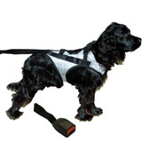 SNOOZER PET SAFETY HARNESS AND ADAPTER - CAR TRAVEL