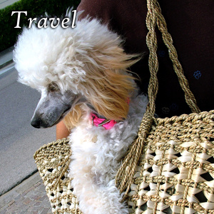 Travel