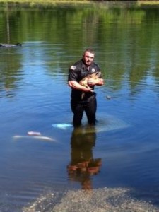 A DOG WAS SUBMERGED IN A TRUCK – WHAT THIS POLICE OFFICER DID WAS INSPIRATIONAL