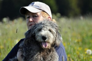 If You Lose Your Dog - Try This