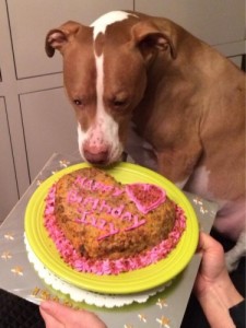 Rachael Ray's Best Cake Ever - Paws Down