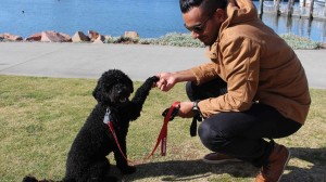 READ HOW A POODLE CHANGED A FOOTBALLERS LIFE!