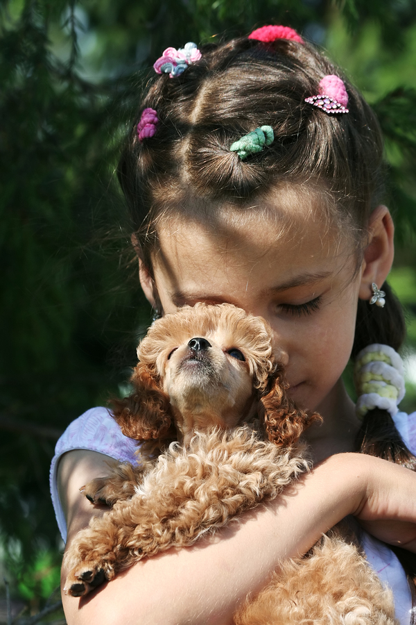 A 6-Year Old's Insight - A Dog's Purpose?